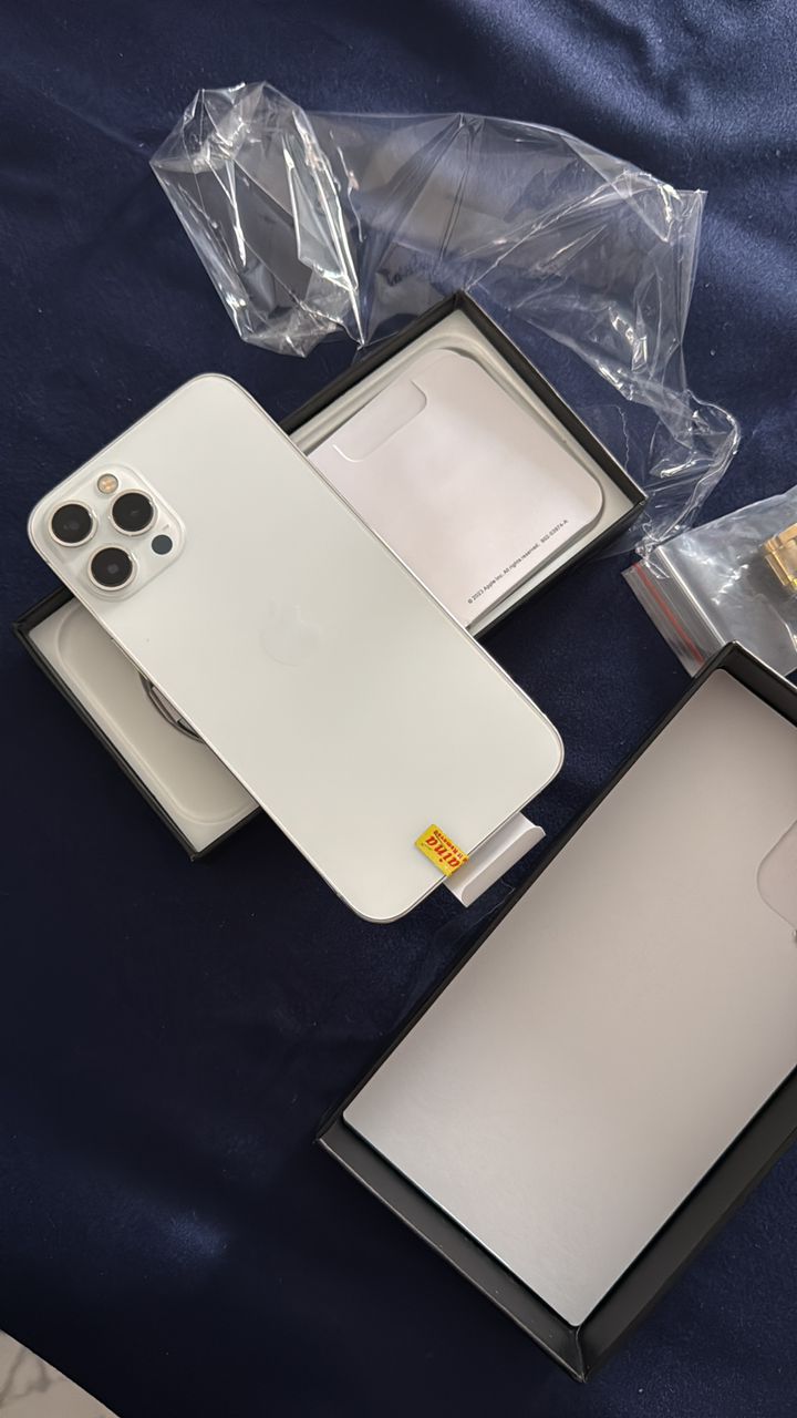 iPhone Pro Max - White Titanium